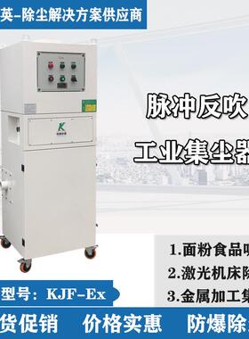 广州柯英面粉饼干食品电子产品加工防爆脉冲反吹工业集尘器厂家