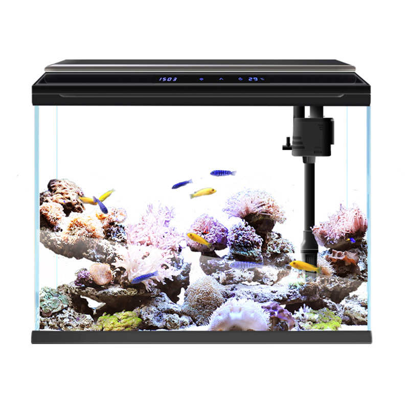 智能换水水族箱创意海星金鱼缸办公室鱼缸白黑色免小型超客厅玻璃