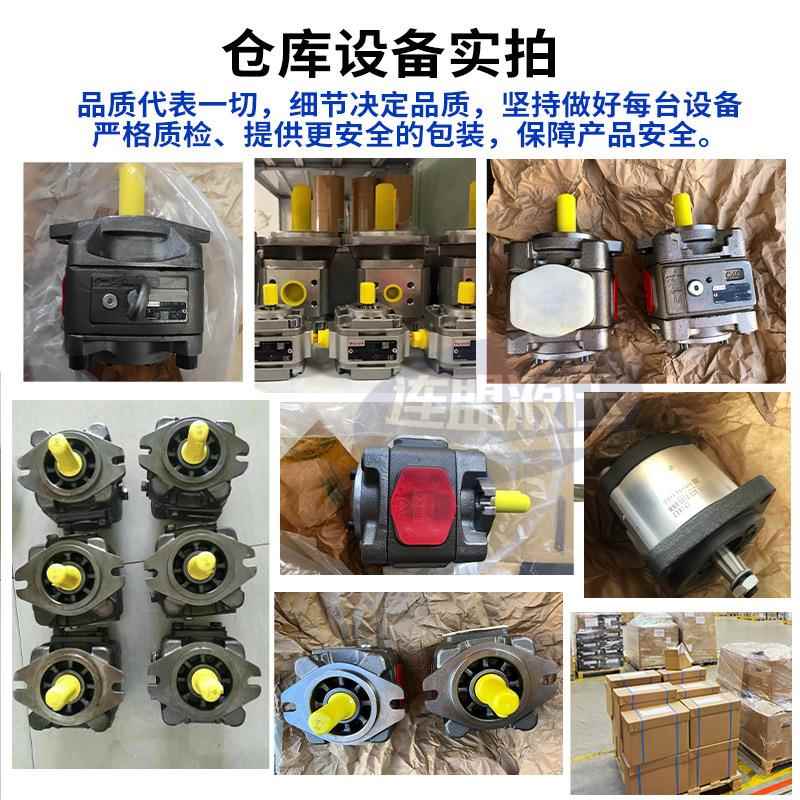 Rexroth士乐齿轮泵PH4-0力G联PGM5-0内齿合PGH5-0高压PGM双4M80
