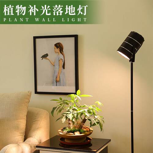 花卉植物灯全光谱植物补光灯彷太阳家用光合作用灯上色多肉光照灯