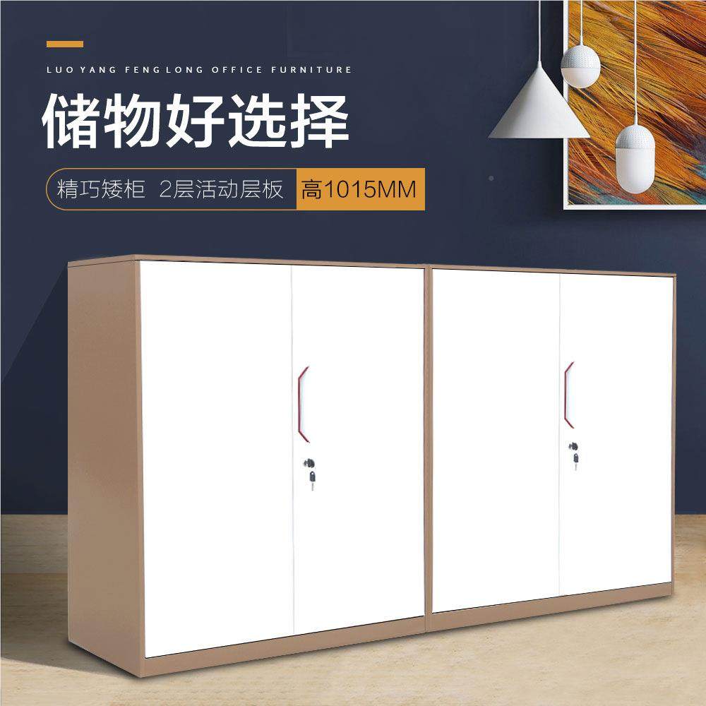 储厚矮加柜办公文件资料档案铁皮柜阳台FL-ZY-XD抽物柜工具屉小柜,商业/办公家具,文件柜,淘宝优惠券,粉丝福利购,淘宝优惠卷