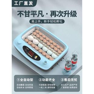 全自动小型孵化器小鸭家用智能孵化机迷你孵蛋器鸡鹅鸟孵化箱保温