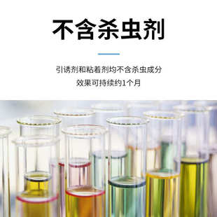 器金鳥紙蠅蒼蠅蠅果蠅家用滅蠅蠅kincho粘捕粘貼用品粘強力捕