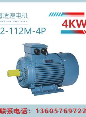 高效节能YE3.YE2-112M-44W高效率YE2三相异步电动机全新全铜