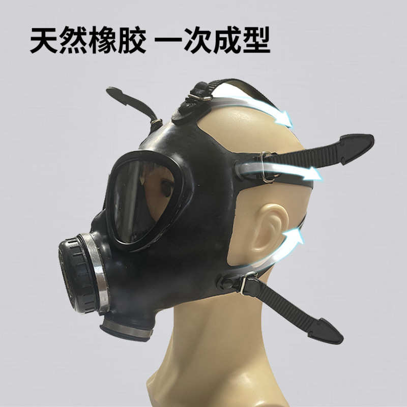 FNJ05A防毒面具06A防生化核污染毒气毒烟喷漆化工生化实验全面罩