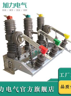 真空断路器ZW2-12/T60-20 高压 10KV断路器 隔离 柱上 手动