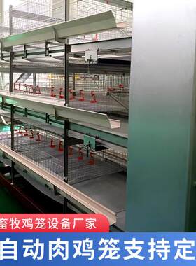 热镀锌鸡笼养殖设备养殖场鸡舍用全自动清粪化多层立式框架肉鸡笼