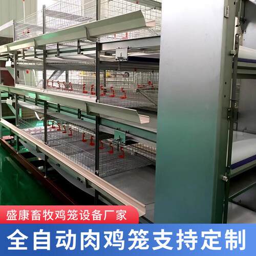 热镀锌鸡笼养殖设备养殖场鸡舍用全自动清粪化多层立式框架肉鸡笼