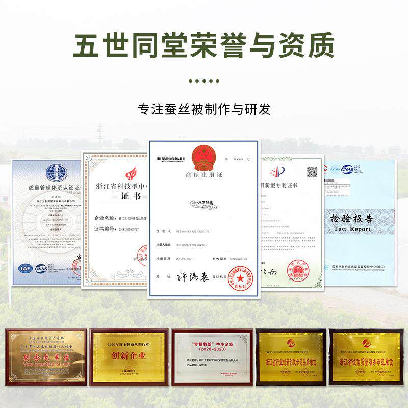 金标儿童被双儿童被宫桑蚕丝儿童被A类园宝宝被芯幼儿无芯荧光蚕