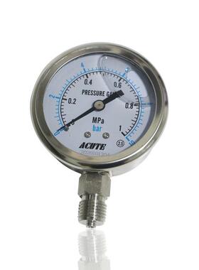 全不锈钢耐震压力表径向船舶设备用耐酸碱YN60BF 1MPA 10BAR厂销