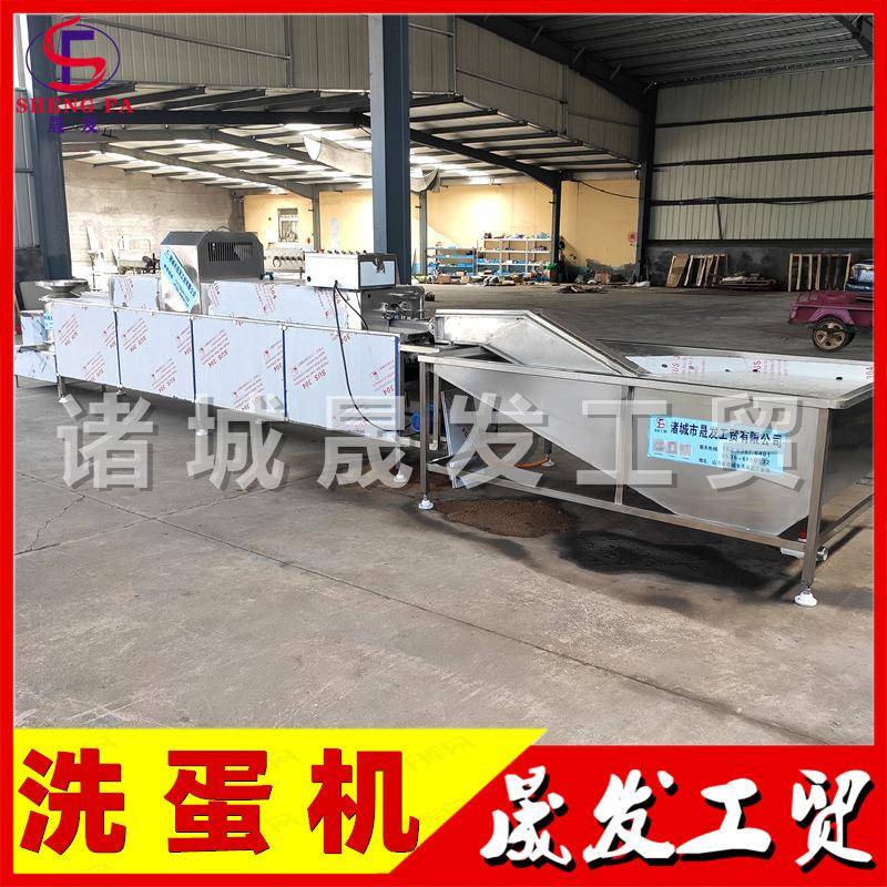 晟发系列全自动单排洗蛋机 鸡蛋鸭蛋清洗机厂家 双排洗蛋机现货