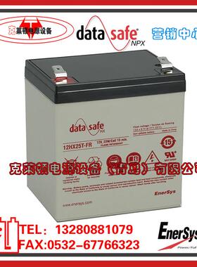 DataSafe艾诺斯蓄电池12HX25T-FR/12V23W高功率电源电池现货营销