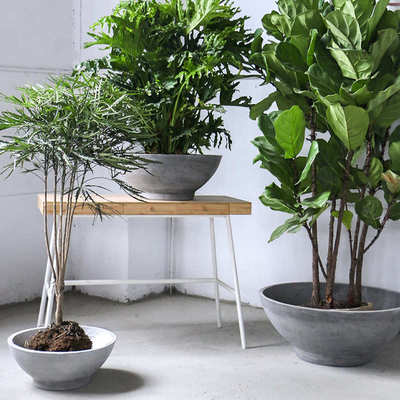 亿阳园林简约工业风方形镁泥花盆户外庭院别墅景观