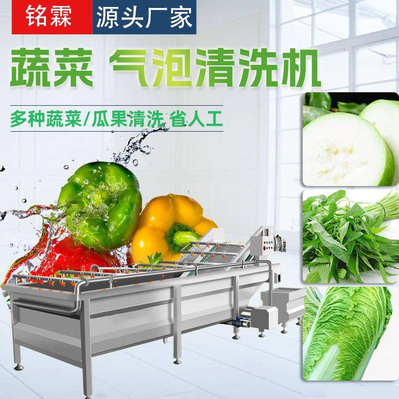 冬瓜空心菜清洗机全自动小白菜清洗机设备芒果气泡清洗机价格