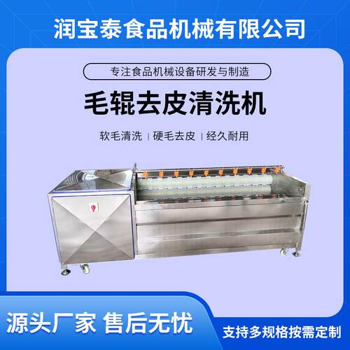 商用猪蹄清洗机花生毛辊清洗设备芋头红薯毛刷清洗去皮一体机