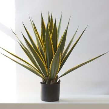 植兰落地绿ins客厅盆栽凤尾肉植物装饰橱窗多龙舌兰造景北欧