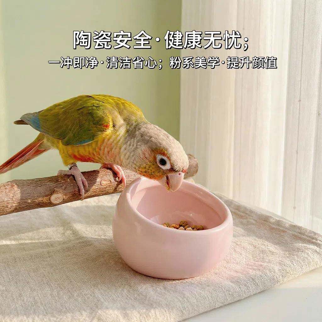 小太阳鹦鹉食碗陶瓷宠物食槽喝水饮水粮食防侧翻喂鸟器高颜值食盒