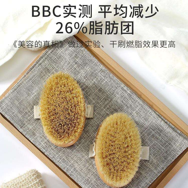 身体刷干刷皮肤刷酸磨砂膏洗澡刷子米兰达可儿美体猪鬃沐