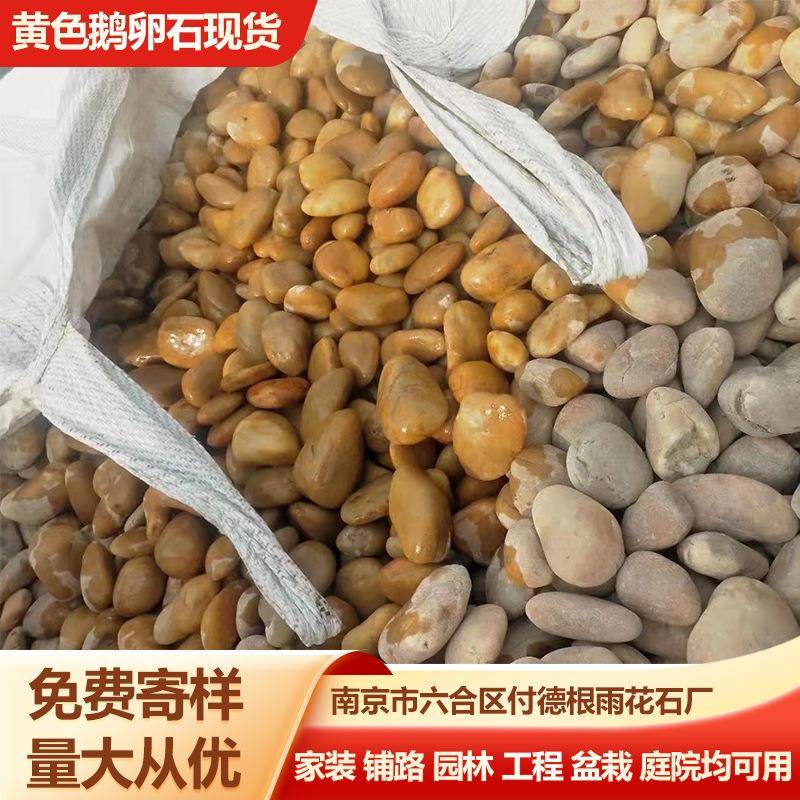黄色鹅卵石 园林造景黄色石子 工程铺路铺地专用黄色石头厂家