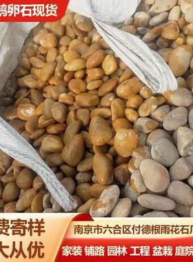 黄色鹅卵石 园林造景黄色石子 工程铺路铺地专用黄色石头厂家