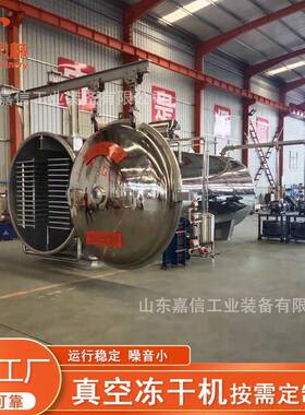商用芒UBP鸭脯生鸡胸肉果低温真空冻干燥机生产商冷FD真空冷冻干