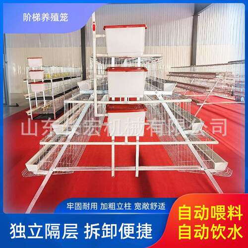 层叠式H型鸡笼加粗养殖笼具框架蛋鸡笼具多层养殖场阶梯A型蛋鸡笼