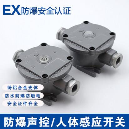 海洋王防爆人体感应开 关声光控开 关光感220v延时开 关防水防尘