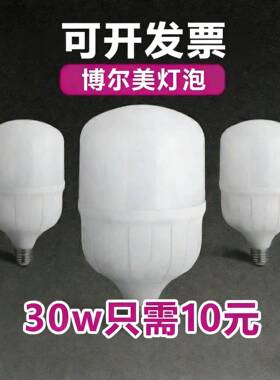 博尔美至真LED节能灯球泡10w20w30W40W50W瓦螺口螺纹灯泡家用商用