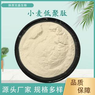 小麦低聚肽文盛生物多规格小麦肽小分子肽小麦肽粉现货