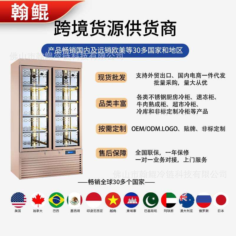 非标西餐厅牛肉熟成展示柜静电干式恒温恒湿牛肉排酸柜商用冷藏柜