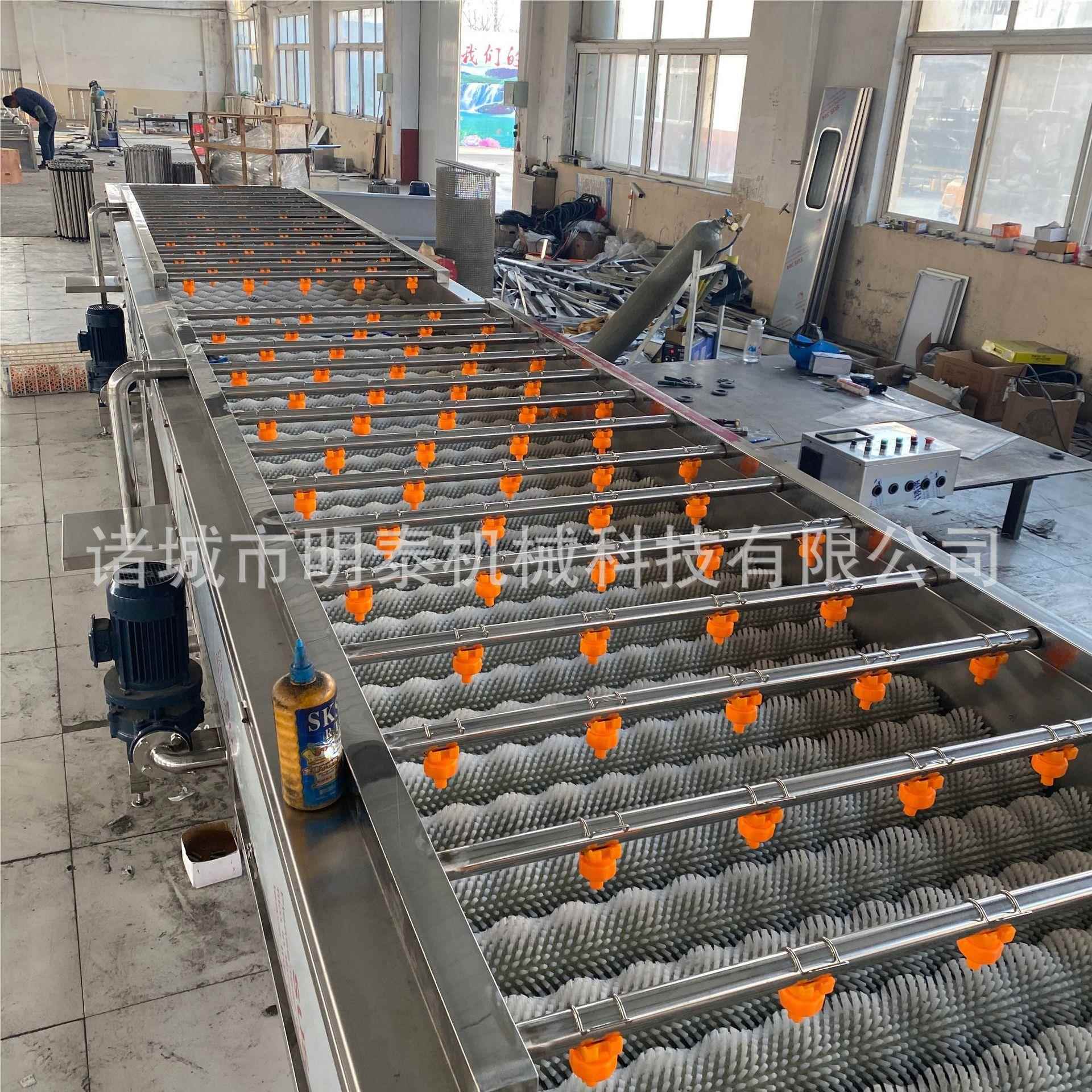 柑橘类平行毛辊清洗机菜 贝壳类海鲜清去杂机风 根茎蔬清229洗洗