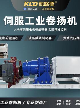 大型欧式遥控电动卷扬机可定制恒拉力带编码器的工业卷扬机