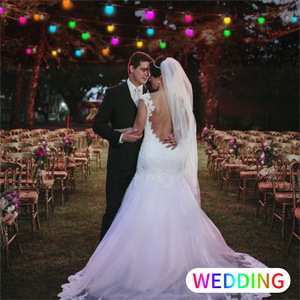 G40幻彩球泡灯串防水圣诞树生日婚庆聚会流行节日装 饰氛围灯