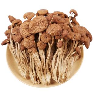 福建茶树菇干货级特新鲜蘑菇商用营养菌菇类炖汤火锅美味