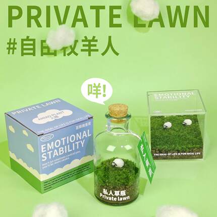 入植苔藓私人草坪微景观办公室桌面情绪稳定植物生态瓶盆栽送礼物