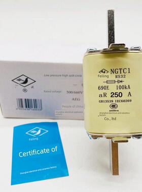 飞灵RS32 NGTC1-250A 690V-100KA快速熔断器200A160A上海电器陶瓷