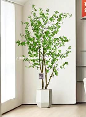 醉木落仿绿植客厅摆件生地盆栽室内吊钟假花树马见描述hgc10263其