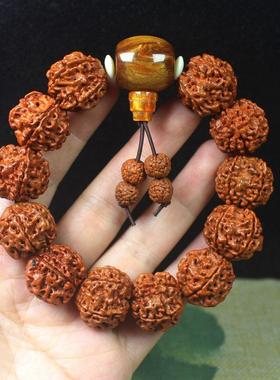金刚菩提手串牛骨蜜蜡五瓣菩提子