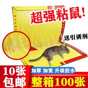 家鑫超强力粘鼠板726自带引诱剂粘鼠贴老鼠贴整箱100张包邮