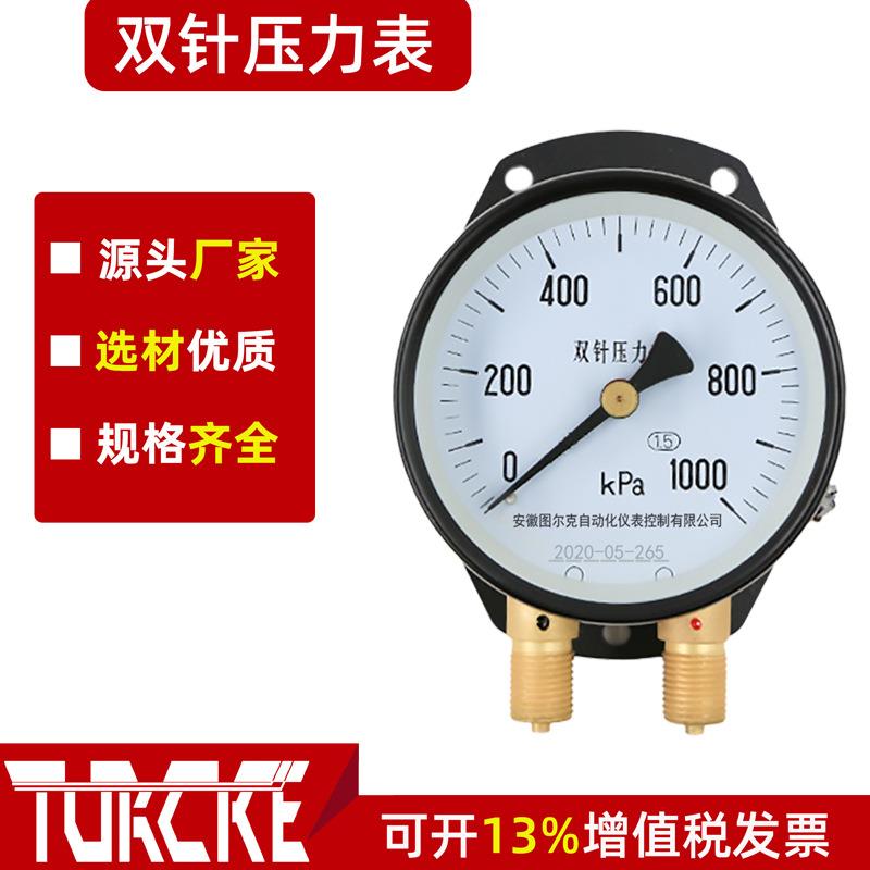 生产厂家YZS-102双针双管压力表