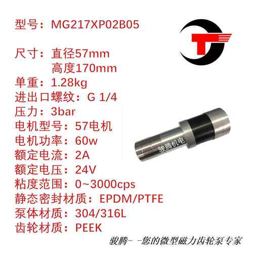 MG217XP02B05水泵磁力轮泵计腐量NZK泵0泄露耐酸齿碱不钢无脉锈冲