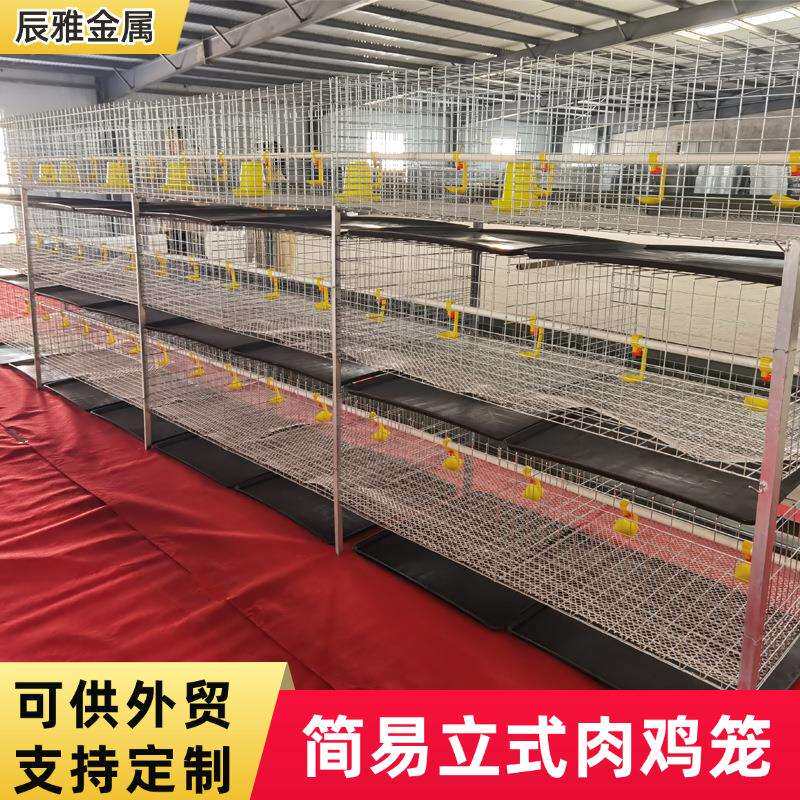 三层立式肉鸡笼子养殖养鸡设备肉鸡笼鸡舍食槽带粪盘设备肉鸡笼