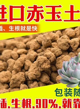 日本进口赤玉土硬质纯颗粒多肉盆景扦插生根专用铺面石爬宠颗粒土