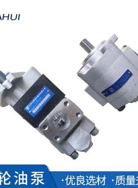 叉车配件 叉车液压齿轮油泵5T合力大连叉车齿轮泵CBKA-G436