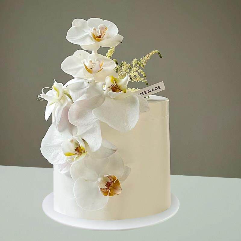 蛋糕模型彷真新款网红花卉蝴蝶兰生日假蛋糕拍照道具样品