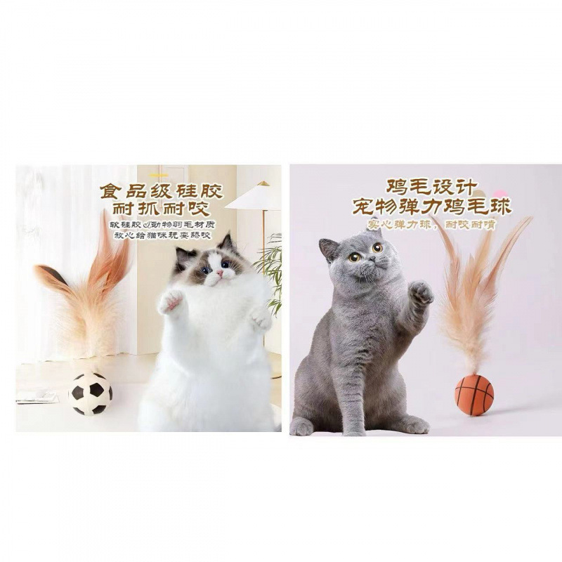 弹力球猫咪磨牙趣味羽毛绳结玩具