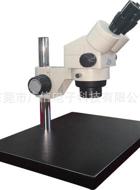 XTAQWL-300显ED灯珠检查显微镜L 体显微视镜大底板连续变倍微镜