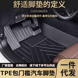 奇瑞冰淇淋欧盟哒EQ7风云T6T8T9T10A8L专车专用包门槛TPE汽车脚垫