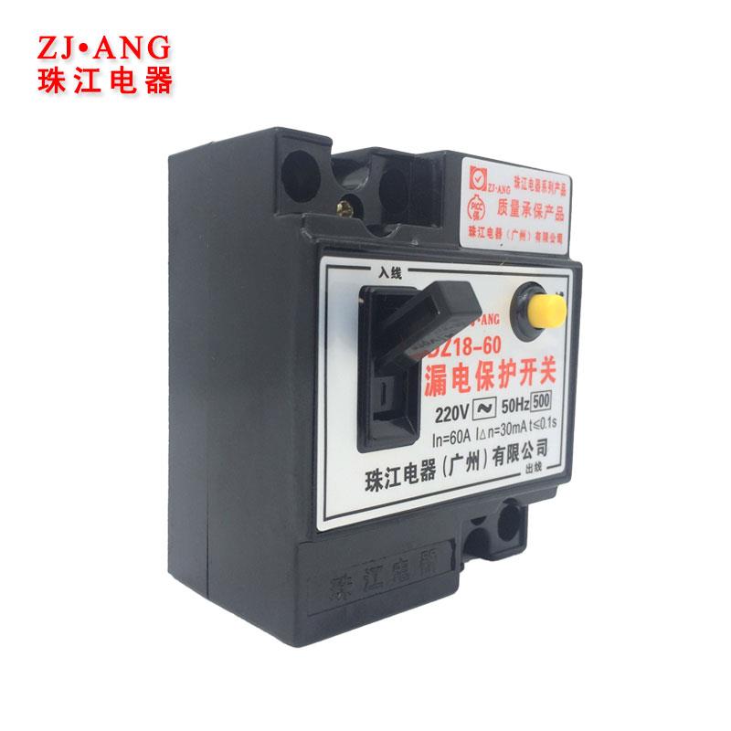 正品珠江家用漏电断0路器20V两42a60安漏相电保护器开关32a 总开