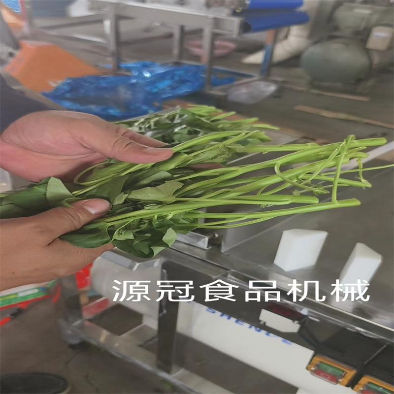 商用空心菜去叶机自动小香葱去泥吹皮机大葱扒皮机器气动免水洗